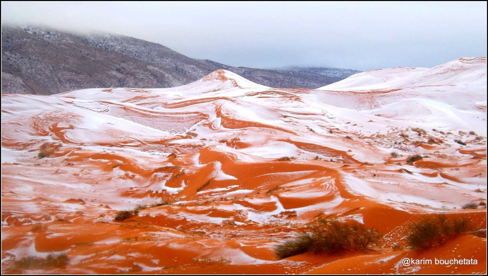 Algeria, neve sul deserto del Sahara: non accadeva da 37 anni - Repubblica.it