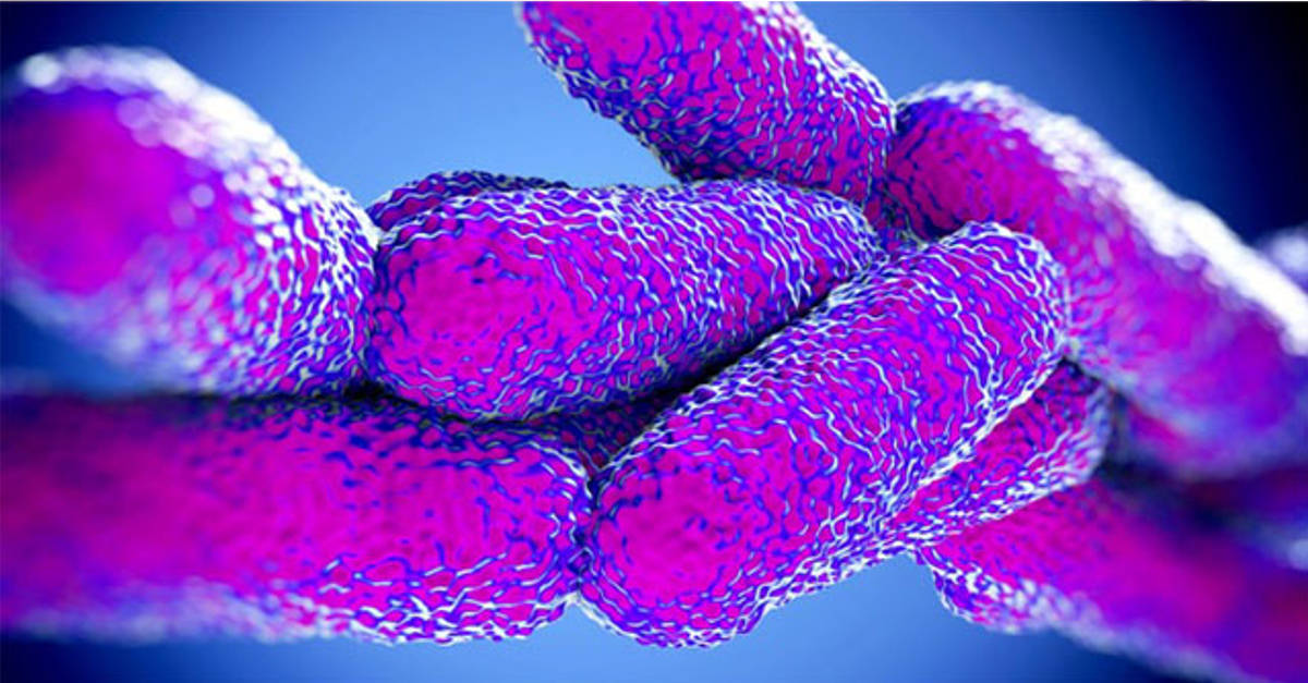 Febbre, Tosse, Brividi, Attenzione non è influenza, ecco di che si tratta. Leggete con attenzione