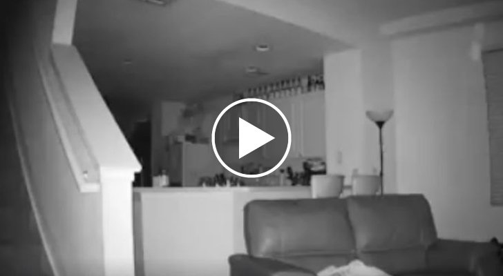 Papà non riusciva a capire cosa accadesse di notte. Ecco cosa scopre quando monta delle telecamere