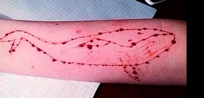 Blue whale, il "gioco" dell'orrore è arrivato anche in Italia