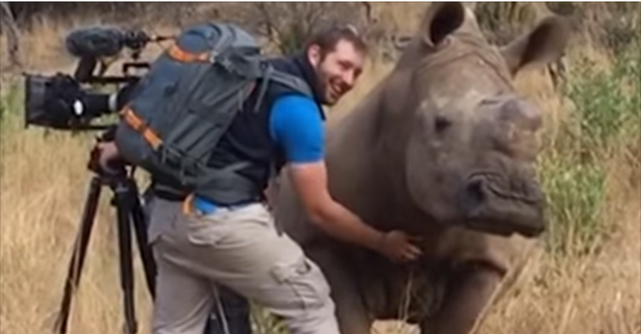 Questo rinoceronte si fa incontro al fotografo per...chiedere qualcosa! E viene accontentato