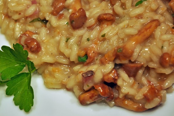 Risotto cremoso ai finferli - Fidelity Cucina