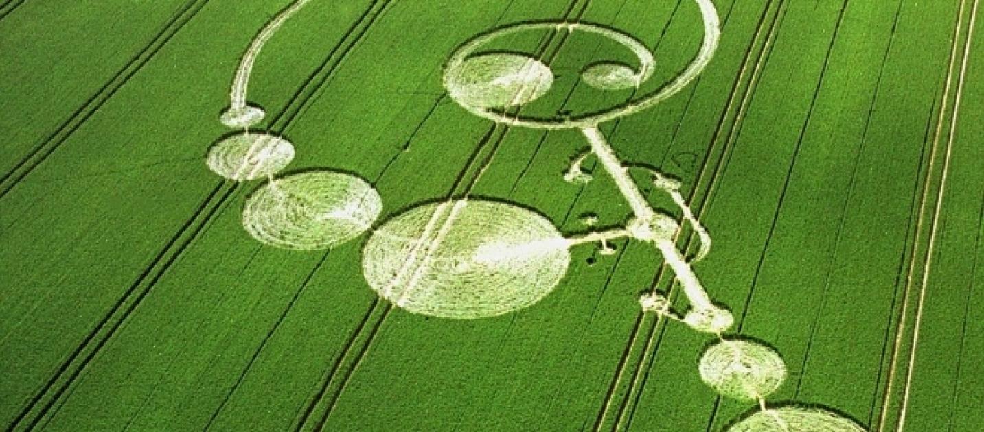 UFO: scienziato afferma ‘I cerchi nel grano sono di origine aliena’