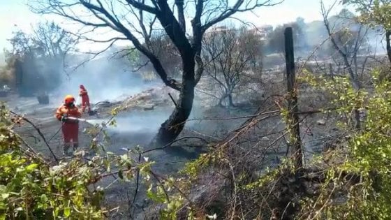 Incendi: arrestato piromane nel Parco nazionale del Cilento - Repubblica.it