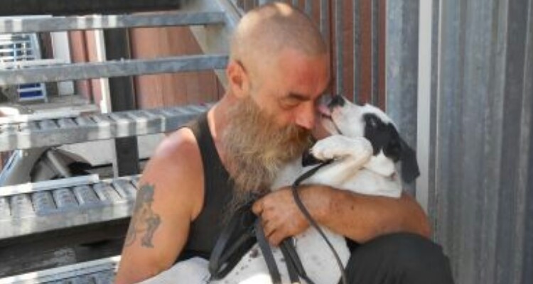 GROSSETO: "Quella volontaria non toccherà il mio cane, nessuno me lo strapperà dalle braccia, è tutto quello che ho, nulla oltre lui! Mi è stato lanciato addosso mica l'ho comprato!" | Gattomiao & Canebau