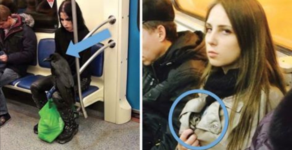 In metropolitana si possono fare incontri davvero strani. Ma questi sono straordinari!