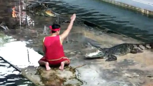 Skip.Li | Coccodrillo gli mangia la mano [SHOCK] - Video Dailymotion