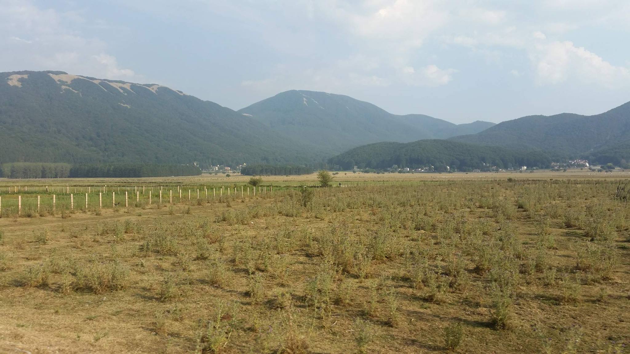 Un Pomeriggio A Laceno - Il Blog Di Marco Zuccardi
