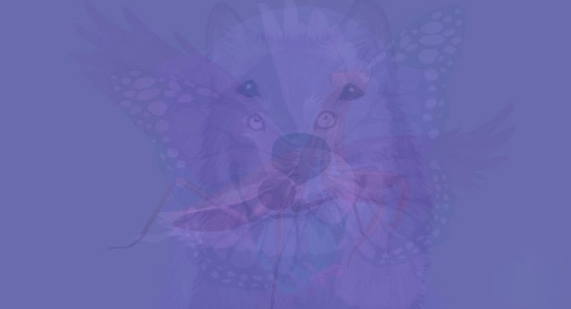 L'animale che vedi per prima in questa immagine rivela l'essenza della tua anima: