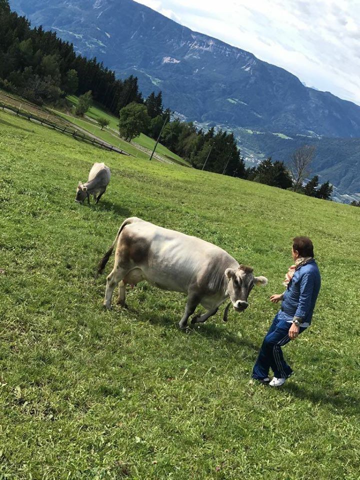 Roby Facchinetti In Montagna - Il Blog Di Marco Zuccardi