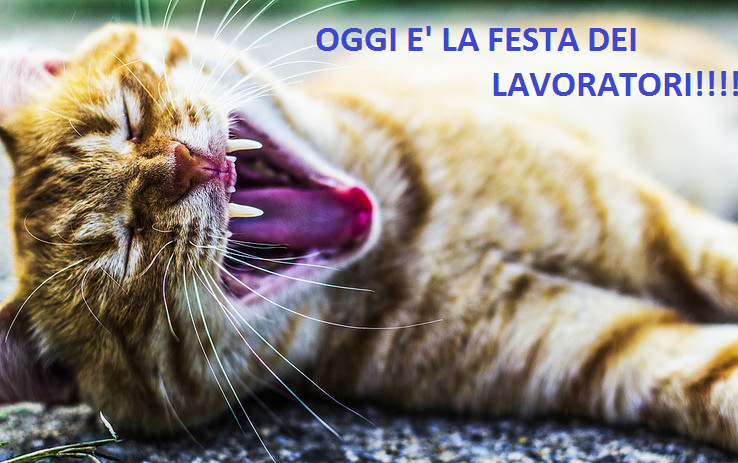 MEGLIO RIDERCI SOPRA! - AMICO MIO
