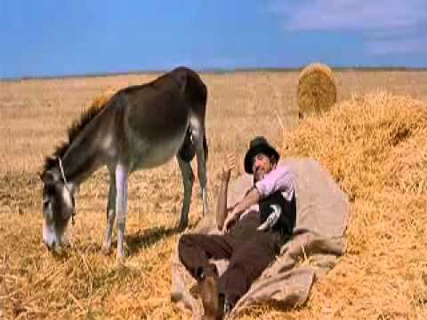 Le barzellette - L'asino - YouTube - LinkShared