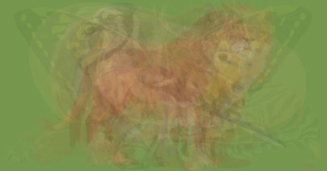 Il primo animale che vedrai in questa immagine ti svelerà di chi hai bisogno nella tua vita: