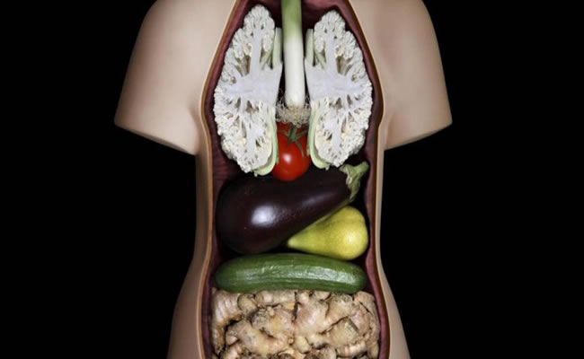 11 Alimenti simili agli organi a cui fanno bene: