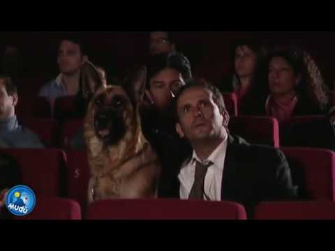 UCCIO PORTA IL CANE AL CINEMA - YouTube - LinkShared