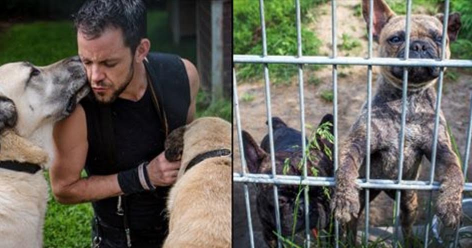 Gli USA hanno deciso: verrà creato un registro dei torturatori di animali