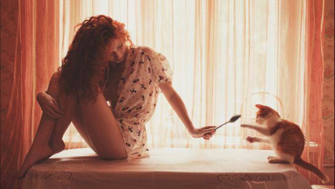 15 cose che solo chi possiede un gatto può capire