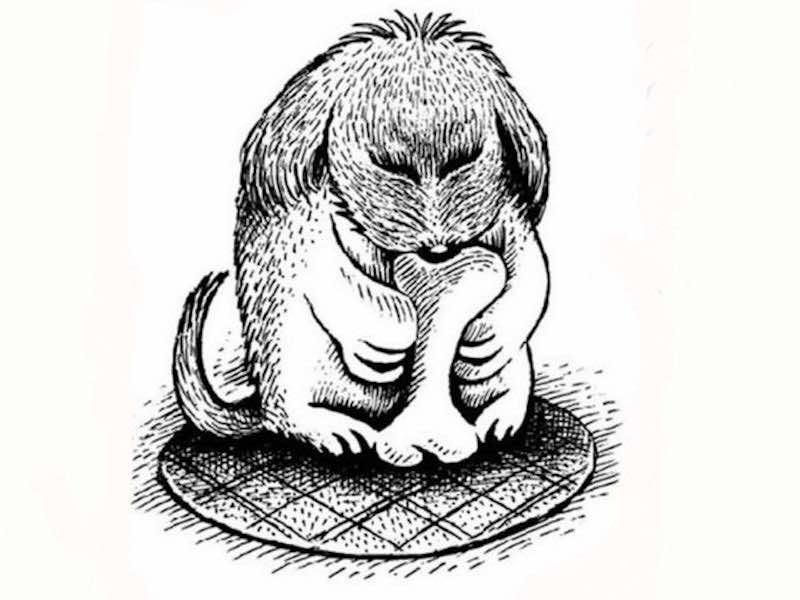Solo il 1% riesce a vedere il cane che si nasconde nell'immagine - anche tu sei fra questi?