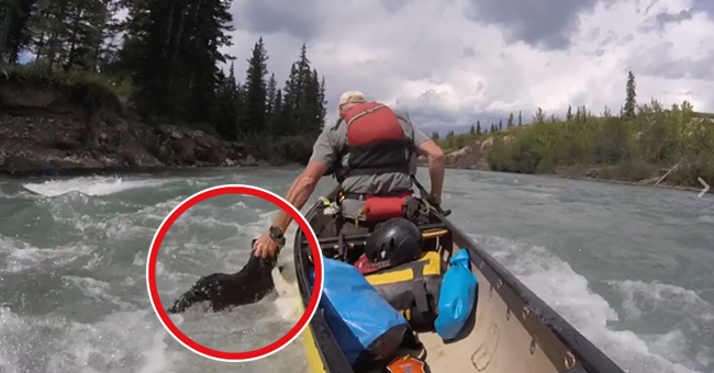Stava facendo rafting sulle rapide quando qualcosa ha attirato la sua attenzione e lo ha reso un eroe!