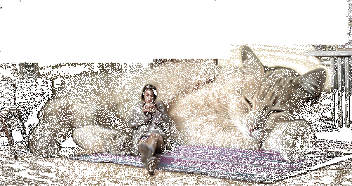 FELICE DI AVERTI IN CASA - AMICO MIO