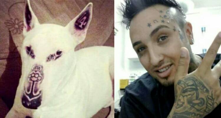 Dovreste tatuare tutti i vostri cani come ho fatto io, perché..." Il web si scatena dopo la spiegazione del giovane che ha tatuato il suo cane...