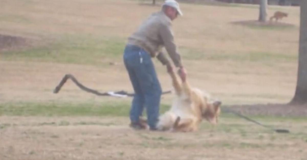 Il cane non vuole proprio andare a casa. Ma quello che la gente al parco riesce a filmare vi farà piangere dal ridere...