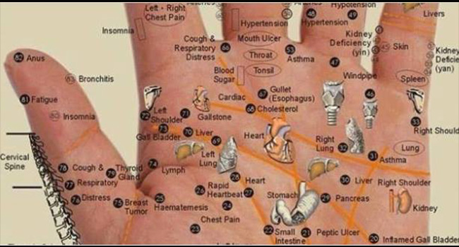 Ecco i punti del palmo della mano da premere in caso di dolore.