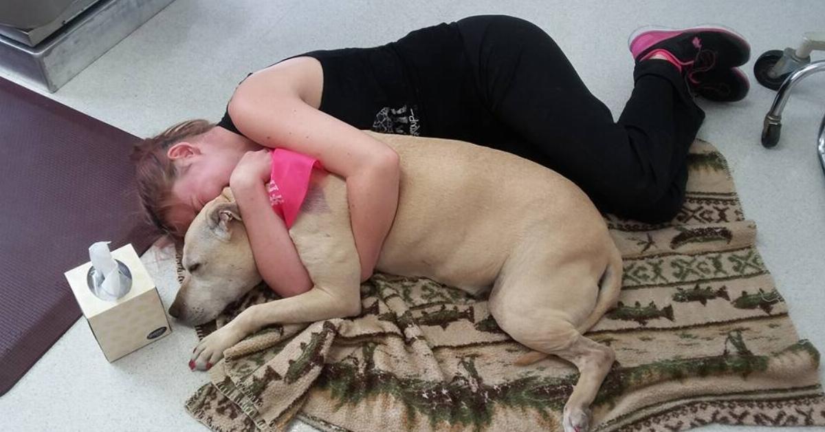 Questa donna ha scattato 21 foto del suo vecchio cane. Le lacrime hanno iniziato a scendere alla numero 10.