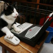 Animali che imitano gli umani