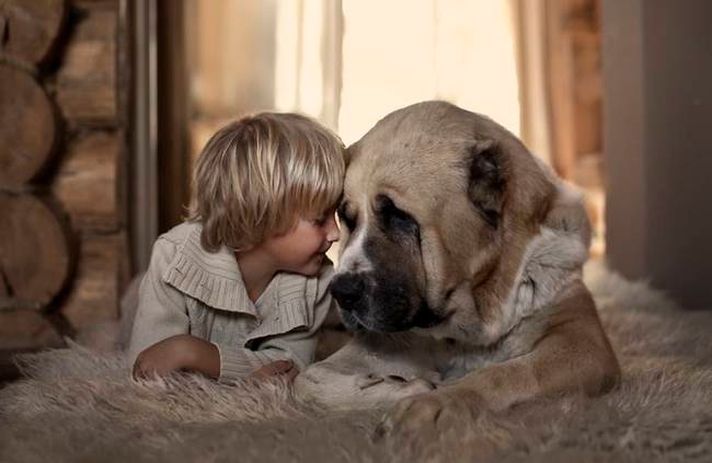 Finché non impari ad amare un animale, la tua anima rimarrà addormentata e triste.