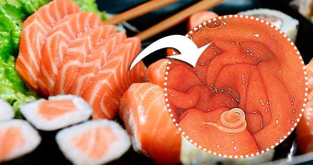 Sushi: come introduce larve nel tuo corpo!
