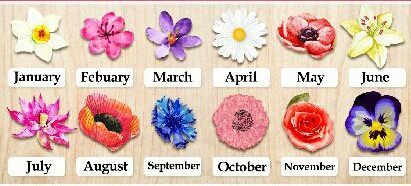 Guarda cosa rivela il fiore del mese in cui sei nato: