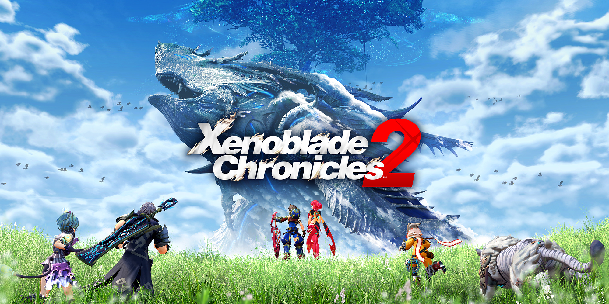 Xenoblade Chronicles 2 – Trailer dei personaggi (Nintendo Switch) - Il Blog Di Marco Zuccardi