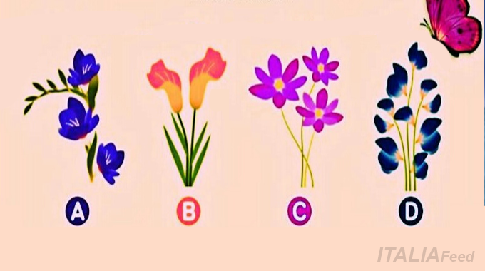 Su quale fiore andrà la farfalla?