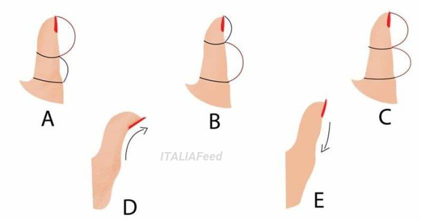 Sapevi che la forma del tuo pollice può rivelare molto sul tuo modo di essere?