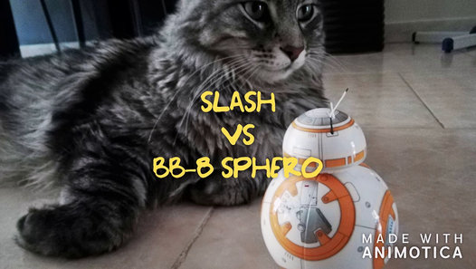 SLASH VS BB-8 SPHERO,ALTRO CHE STAR WARS - Video Dailymotion