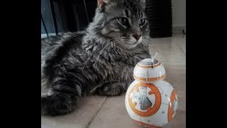 SLASH VS BB-8 SPHERO,ALTRO CHE STAR WARS