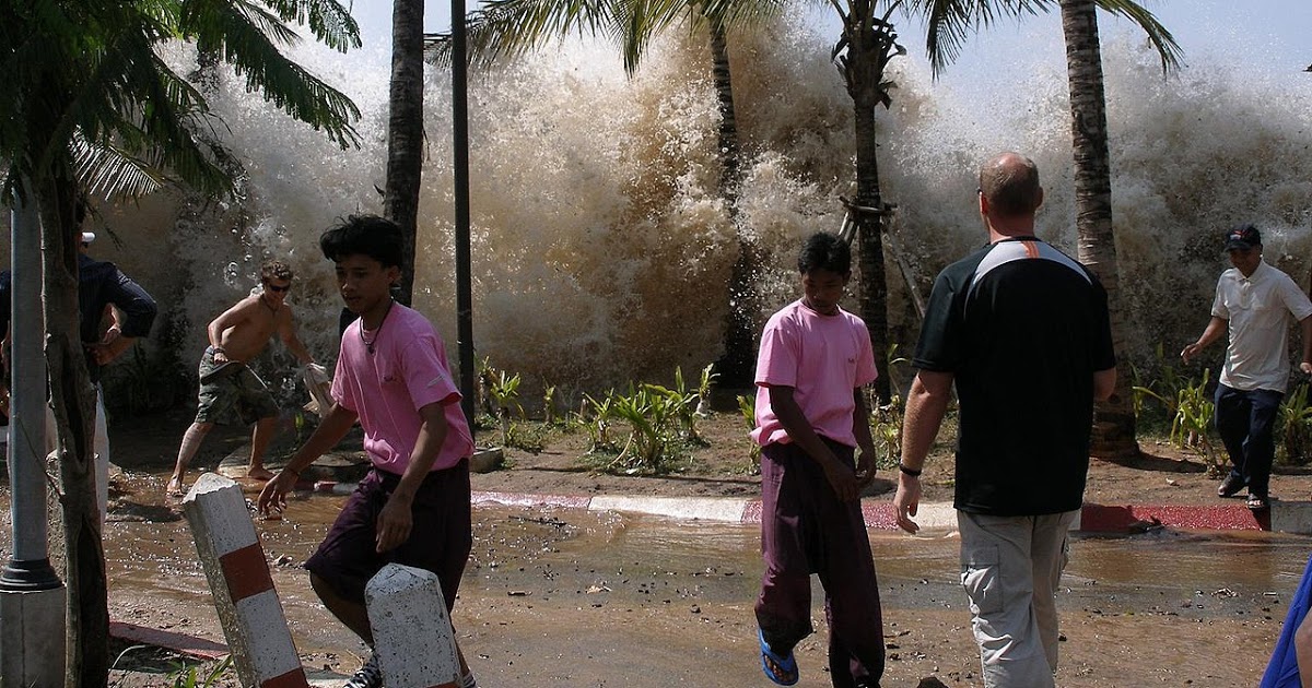 Il 26 Dicembre Del 2004 – Uno tsunami sconvolge una vastissima area dell'Asia - marcozuccardi.it