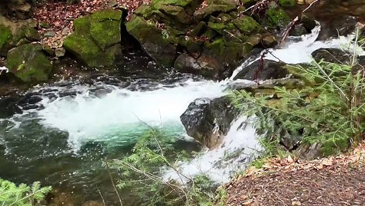 Lo scorrere dell'acqua rilassa la mente - Video Dailymotion