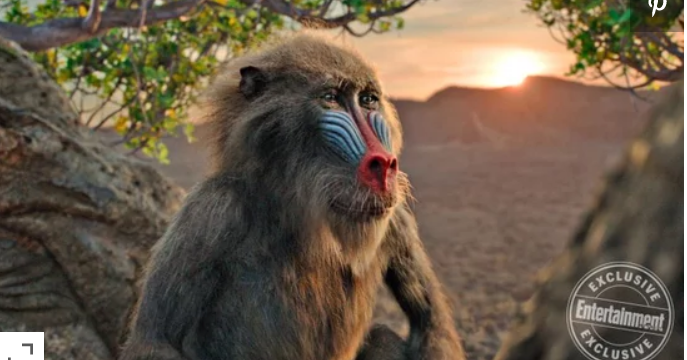 Disney's The Lion King ruggisce di nuovo nelle foto esclusive di EW - marcozuccardi.it