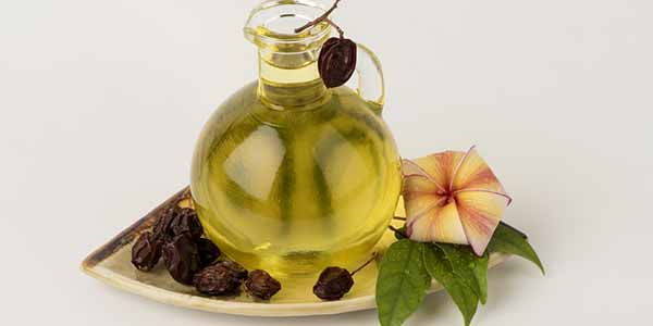 Olio di neem: proprietà, benefici e come usarlo per la salute e la bellezza - GreenMe.it