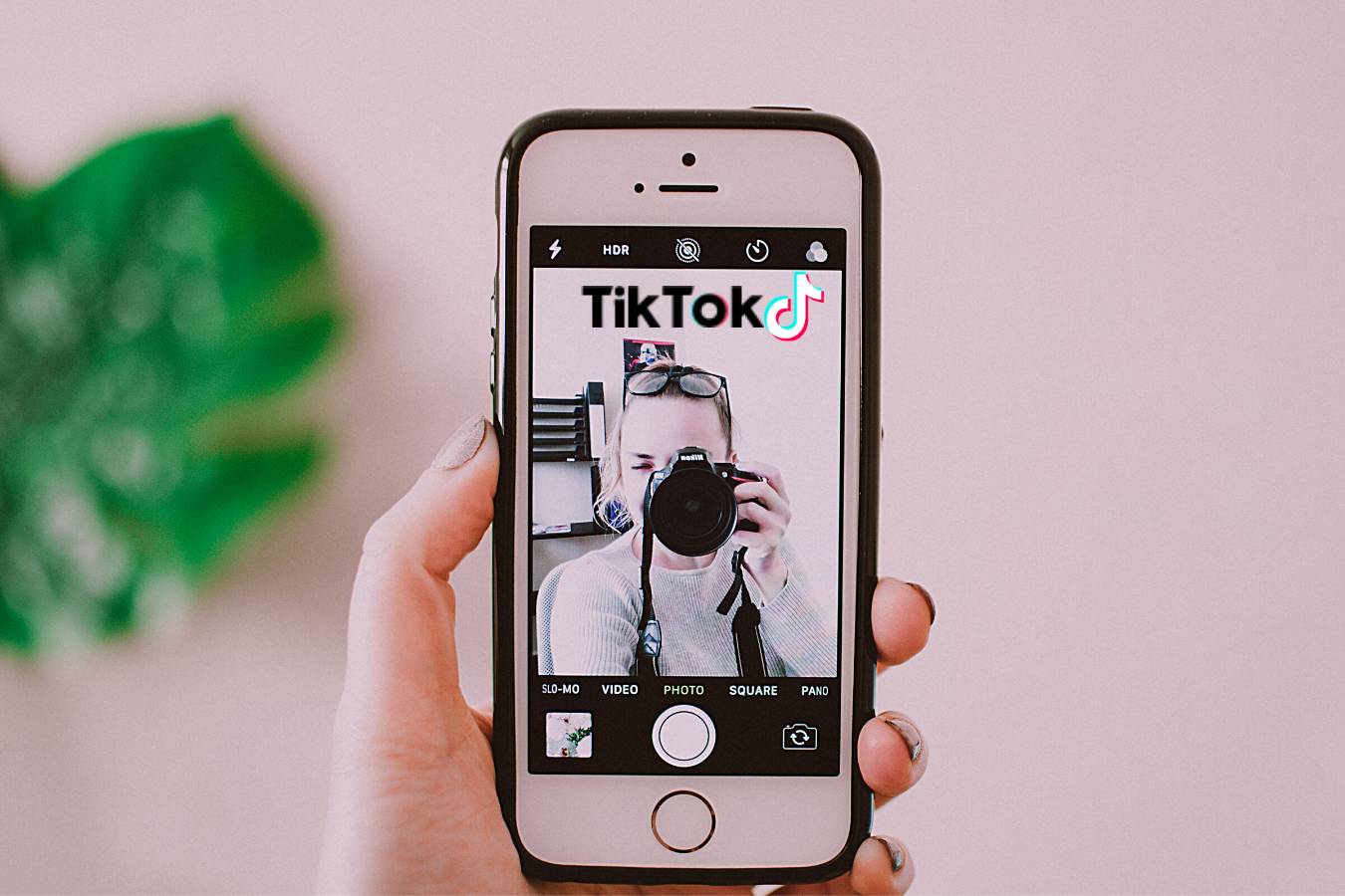 Come eliminare un account TikTok | Reverse Crucifix KM