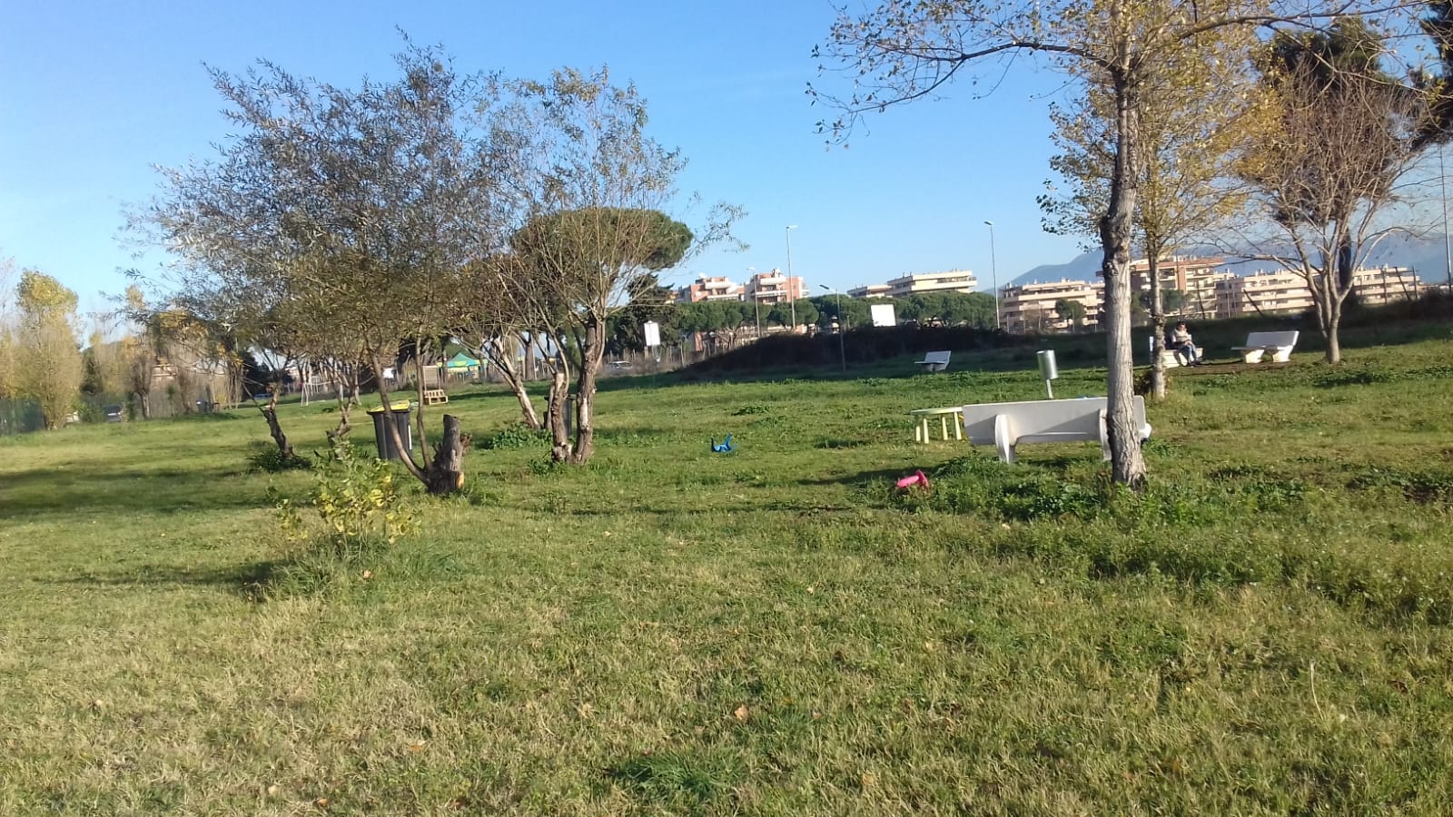 “All’ombra del giardino di Dany” : preparativi per la II edizione tra sentimenti, solidarietà e amicizia – Wuoow