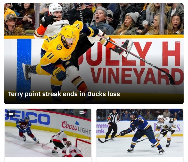 L'URLO: NHL: Carolina sconfitta all'overtime, si ferma la 'striscia' di Terry