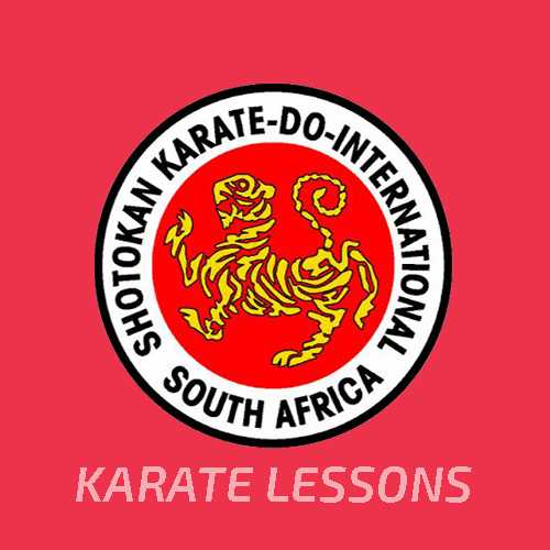 karate lessons