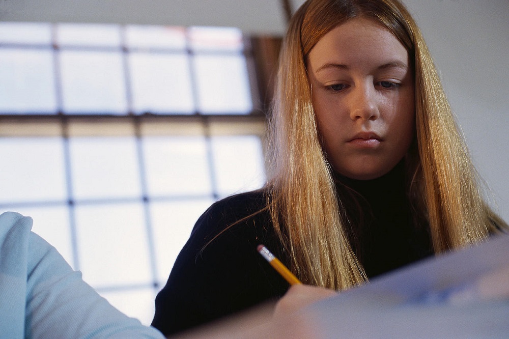 Worried about Writing an Essay? Hire Essay Writing Services