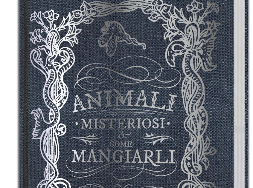 Tuttocartoni: «Animali misteriosi e come mangiarli»: un ricettario di creature immaginarie