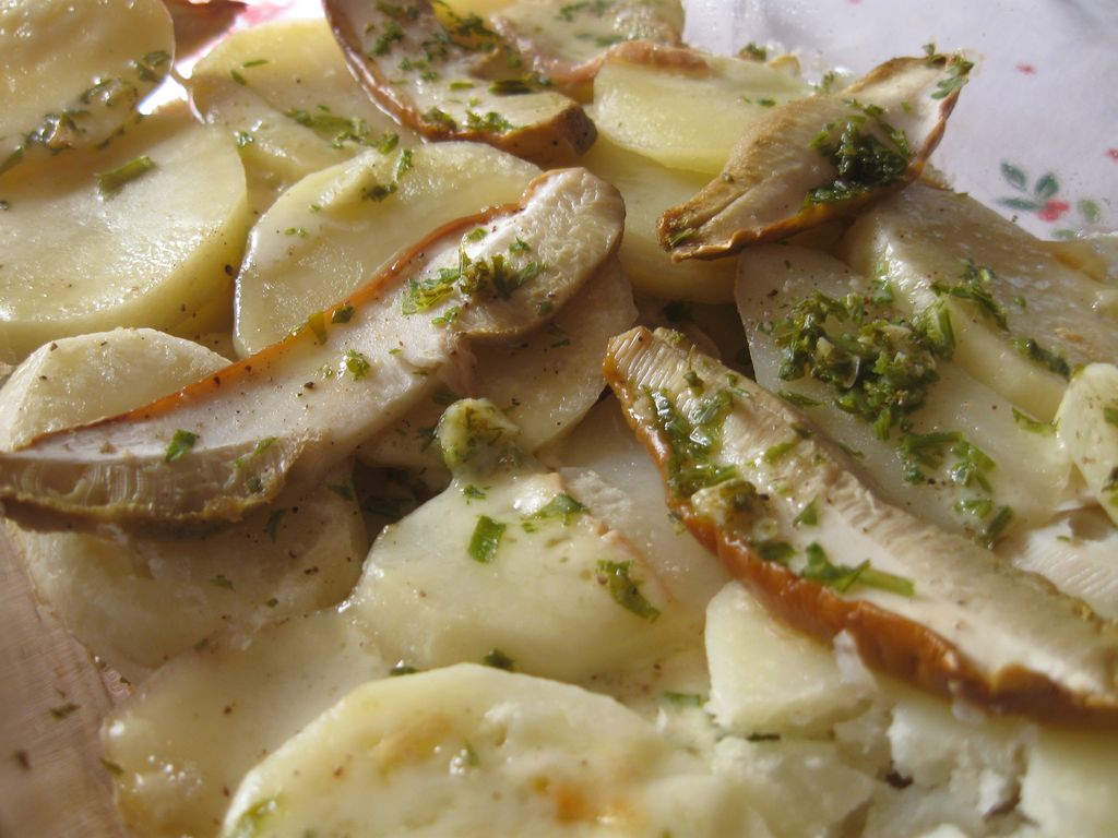 Millefoglie di porcini e patate - Blog di Mani in Cucina