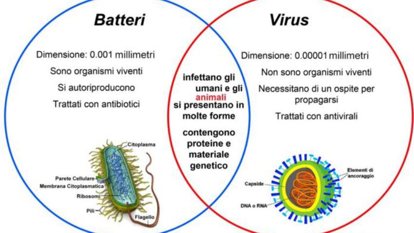 I VIRUS NON SONO MICRORGANISMI VIVI: non si replicano né contagiano... ??? - PeerTube.it