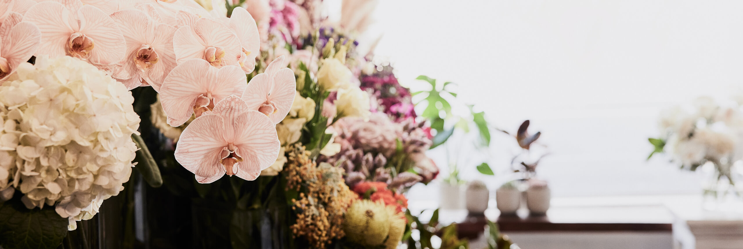 Same Day Flower Delivery Brunswick I The Flower Shed